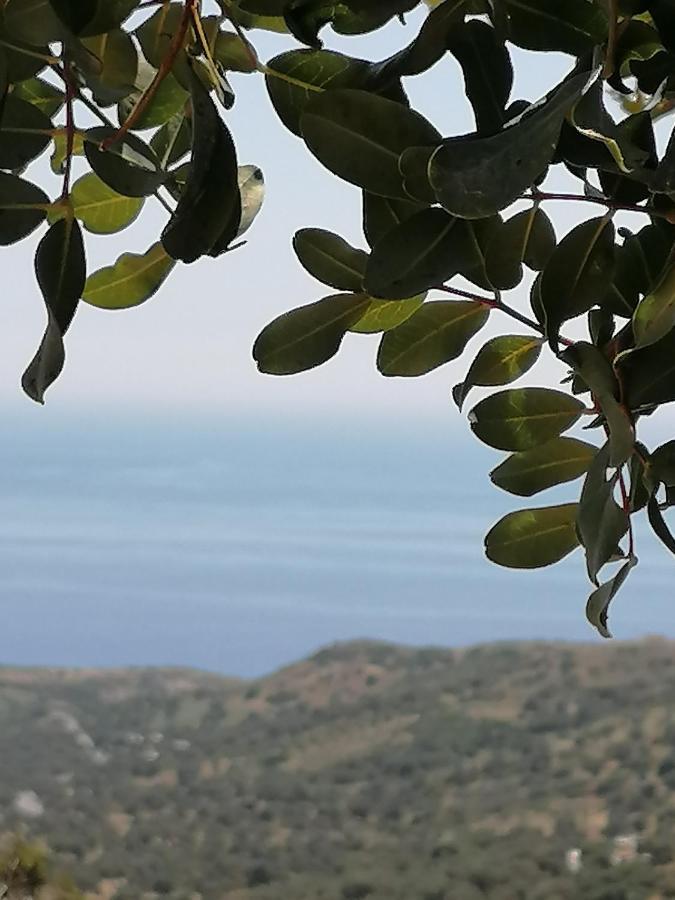 Villa Argyro Triopetra Eksteriør billede